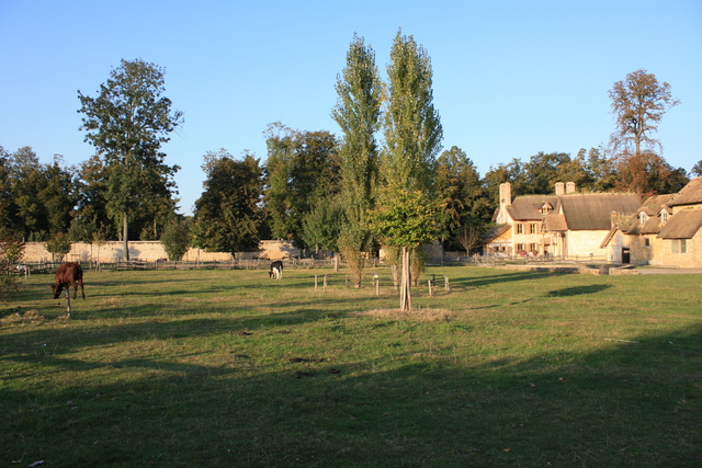 unknownの写真の写真