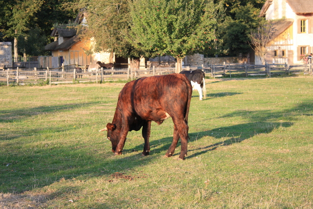 unknownの写真の写真