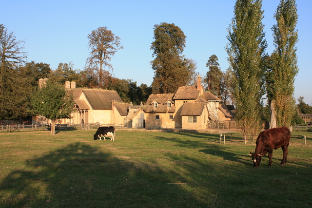 unknownの写真の写真