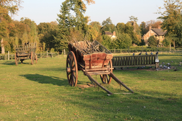 unknownの写真の写真