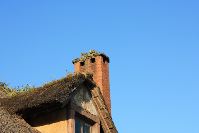 unknownの写真の写真