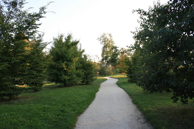 unknownの写真の写真