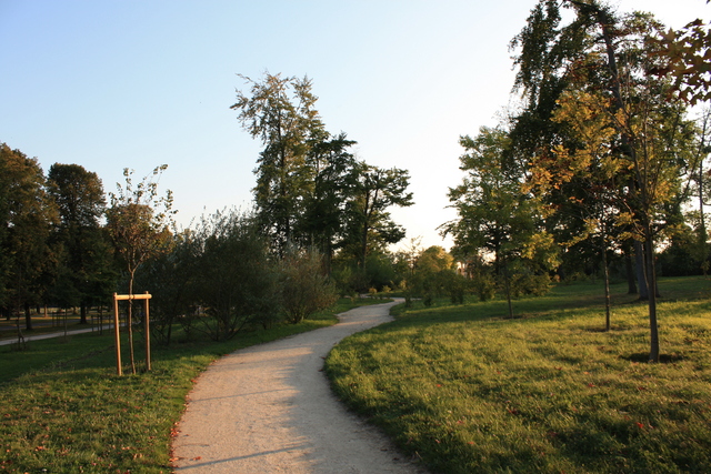 unknownの写真の写真