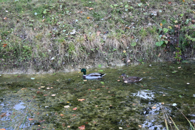 unknownの写真の写真