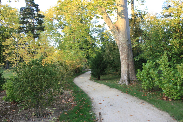 unknownの写真の写真