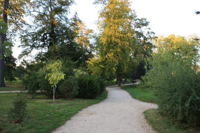 unknownの写真の写真