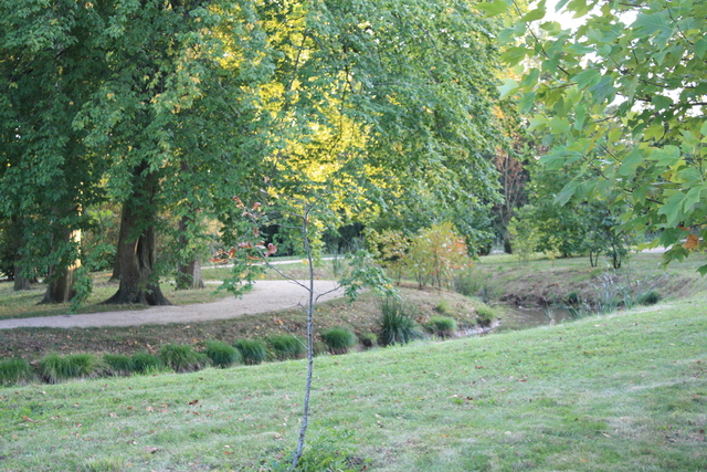 unknownの写真の写真