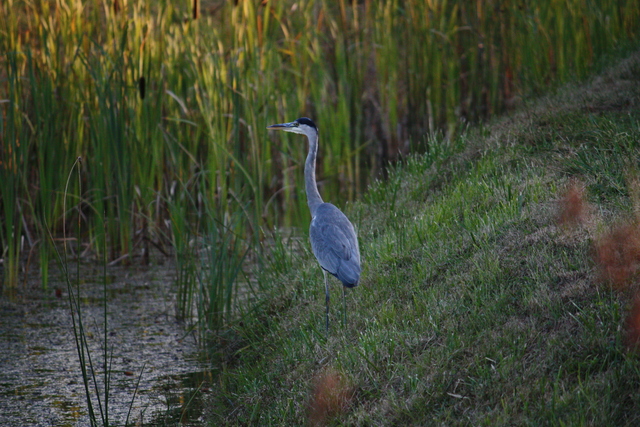 unknownの写真の写真