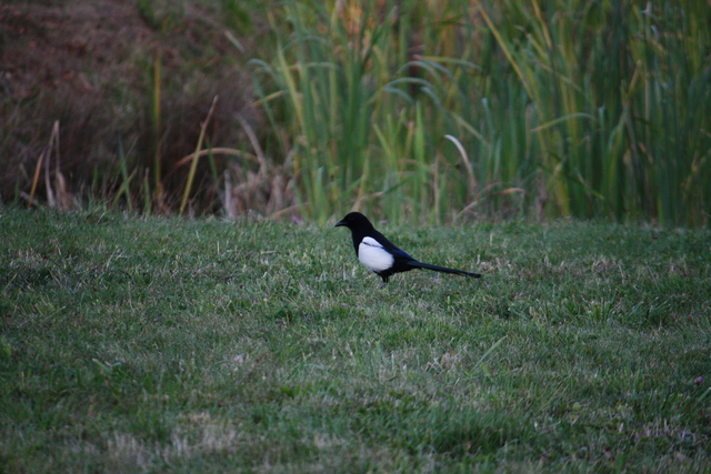 unknownの写真の写真