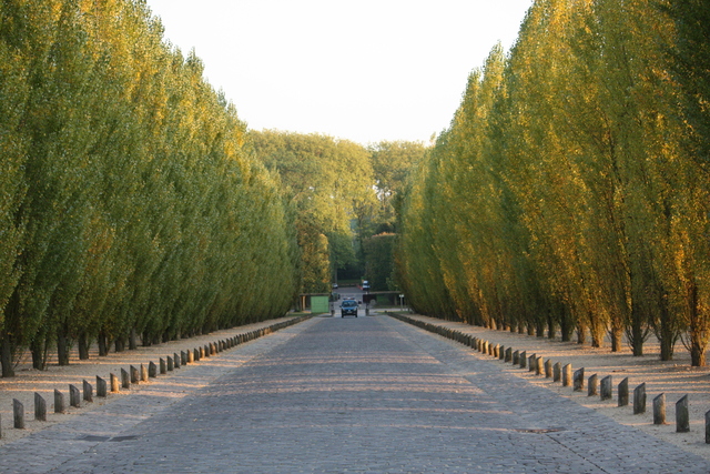 unknownの写真の写真