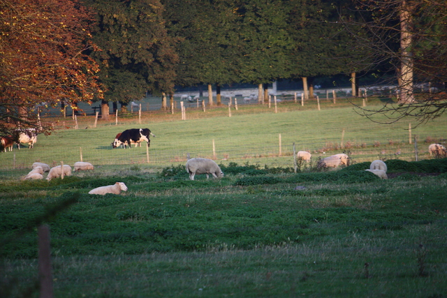 unknownの写真の写真