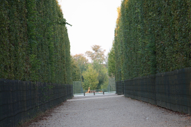 unknownの写真の写真