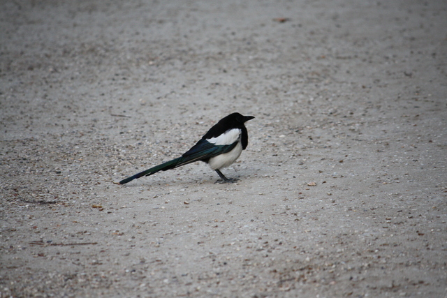 unknownの写真の写真