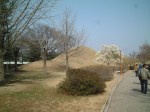 韓国・慶州・大陵苑１