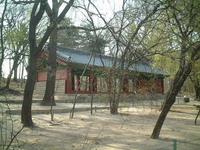 韓国行・ソウル・宗廟・楽工庁の写真の写真