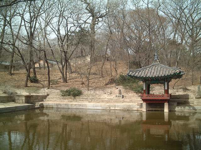 韓国・ソウル・昌徳宮・愛蓮池と愛蓮亭の写真の写真