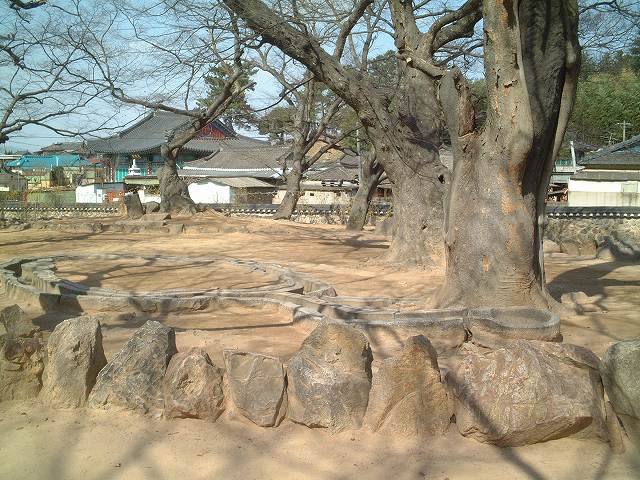 韓国・慶州・鮑石亭の写真の写真
