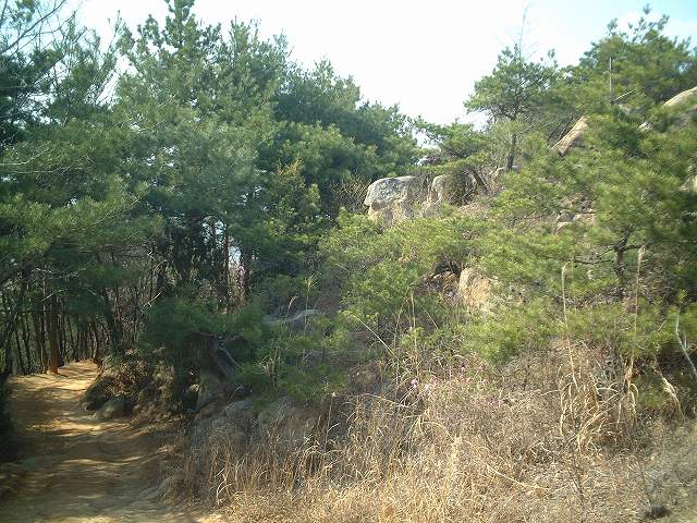 韓国・慶州・木陰に隠れているところにも仏像があるの写真の写真