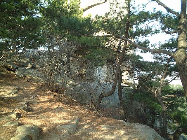 韓国・慶州・これはなにかわからない・・・の写真の写真