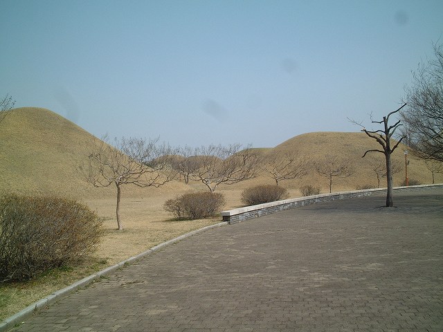 韓国・慶州・大陵苑５の写真の写真