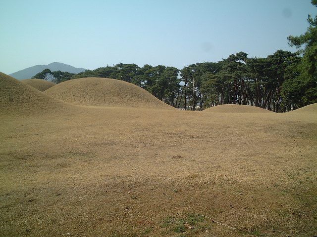 韓国・慶州・新羅五稜２の写真の写真