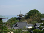 當麻寺中之坊・三重塔東塔