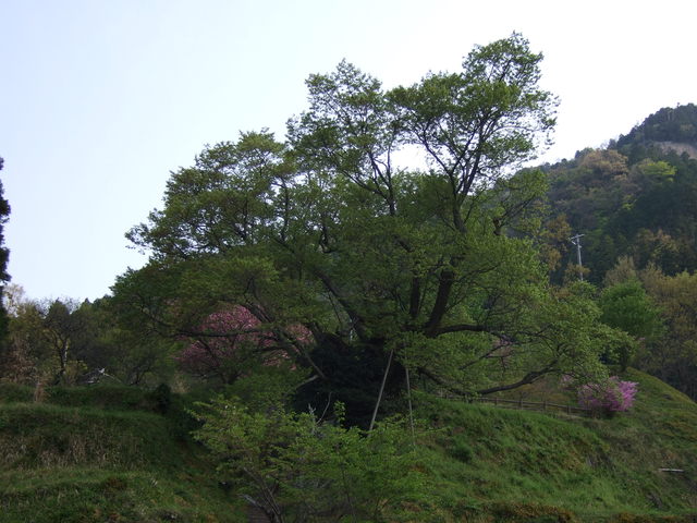 unknownの写真の写真