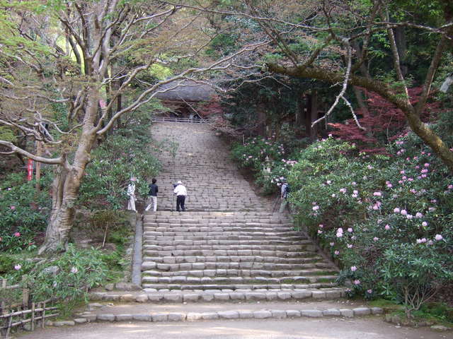 室生寺・急な石段の写真の写真