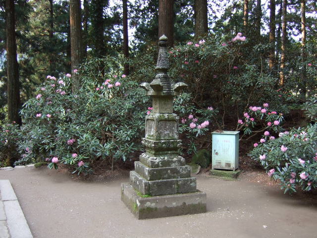 室生寺の写真の写真