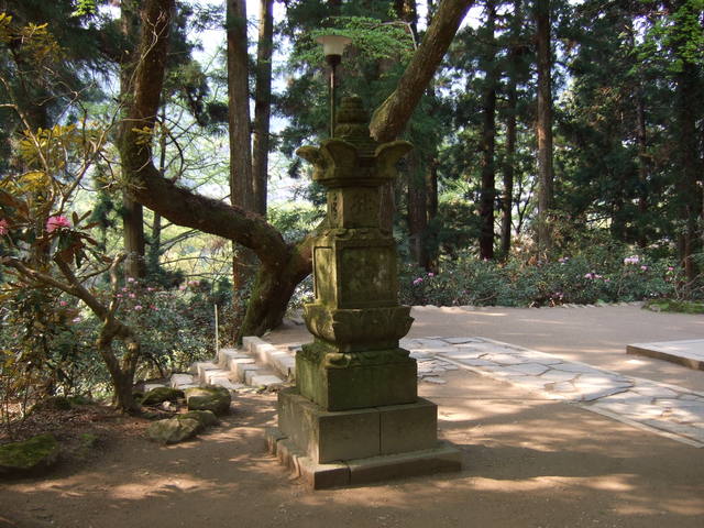 室生寺の写真の写真