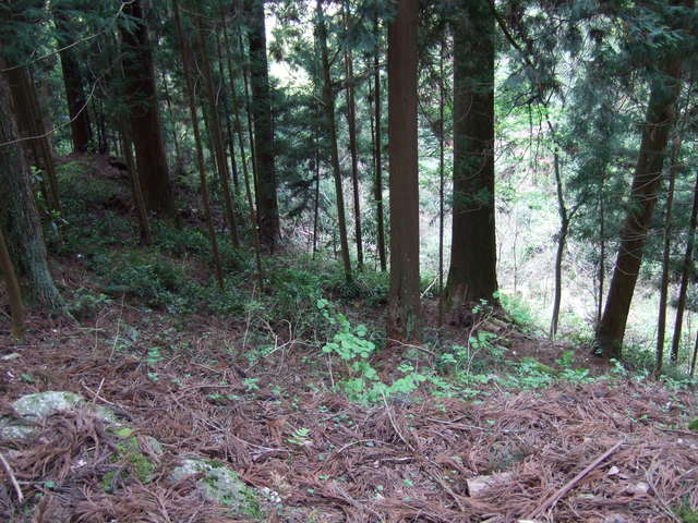 室生寺の写真の写真