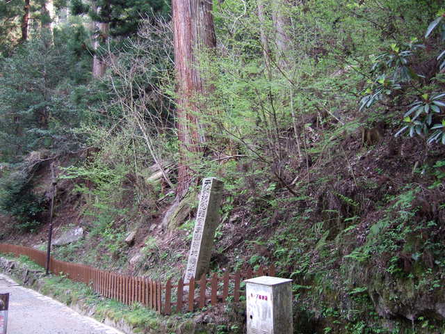 室生寺の写真の写真