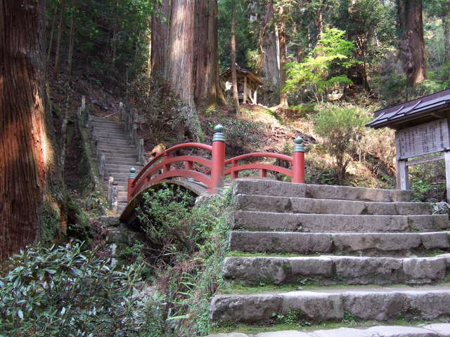 室生寺の写真の写真