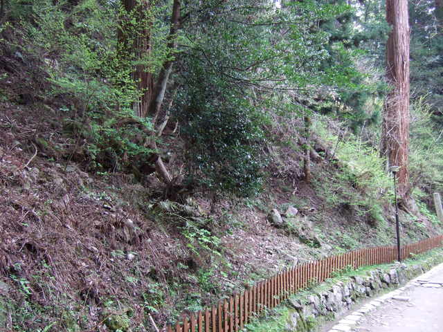 室生寺の写真の写真