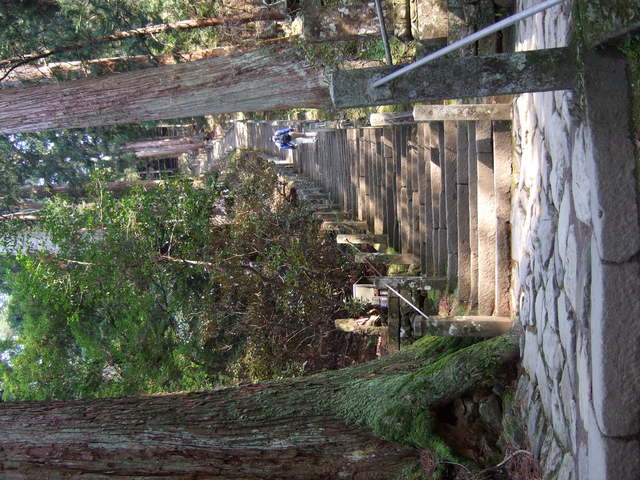 室生寺の写真の写真