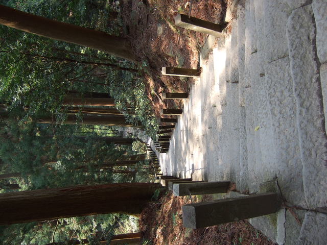 室生寺の写真の写真