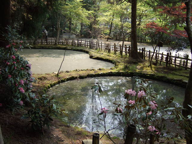 室生寺の写真の写真