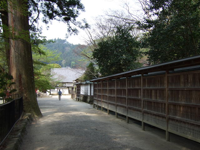 室生寺の写真の写真