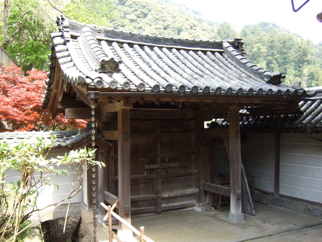 長谷寺の写真の写真