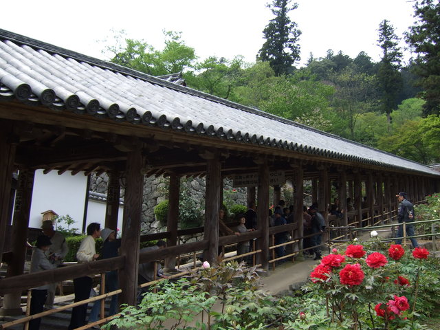 長谷寺の写真の写真