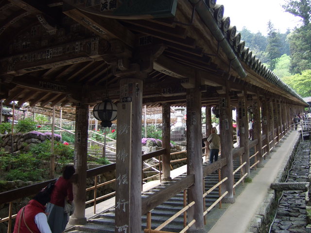 長谷寺の写真の写真