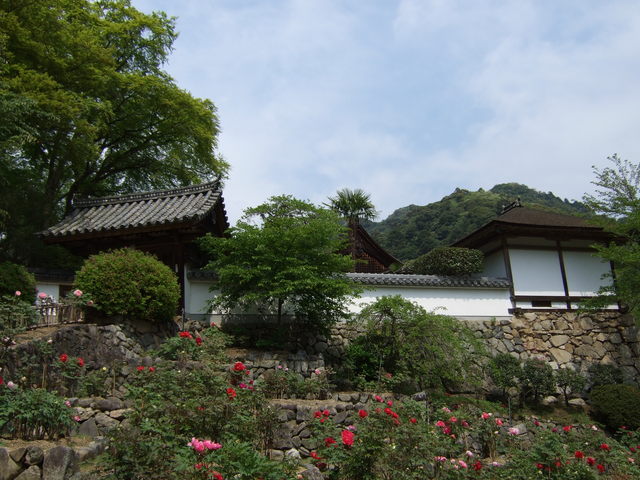 長谷寺の写真の写真