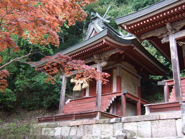 長谷寺の写真の写真