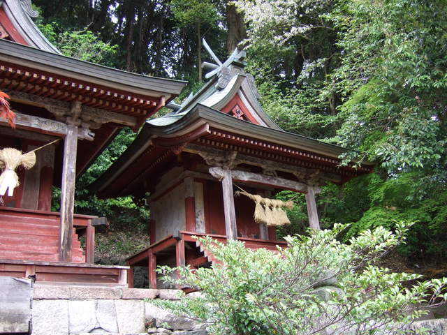 長谷寺の写真の写真