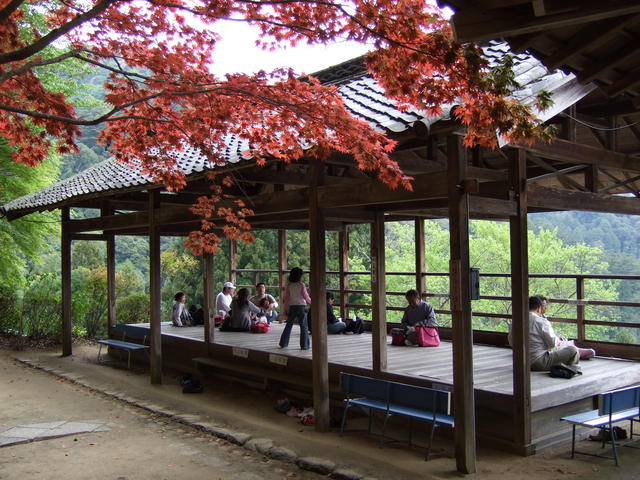 長谷寺の写真の写真