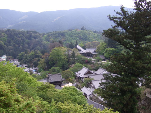 長谷寺の写真の写真