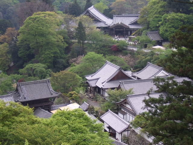 長谷寺の写真の写真