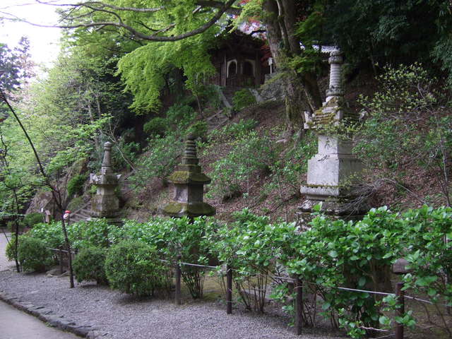 長谷寺の写真の写真