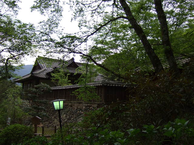 長谷寺の写真の写真