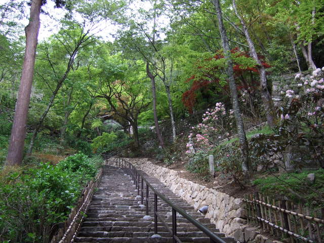 長谷寺の写真の写真